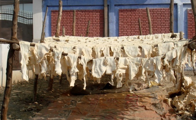 A tannery unit at Jajmau. Image Credit: Juhi Chaudhary A tannery unit at Jajmau. Image Credit: Juhi Chaudhary