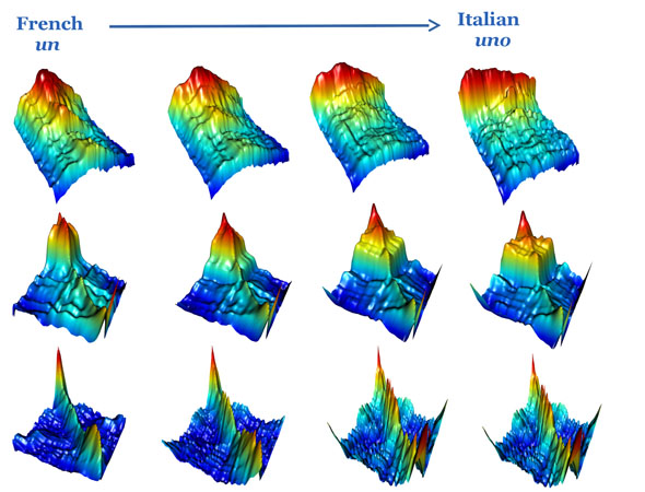 Spectrograms showing how the shape of the sound of a word in one language can be morphed into the sound of the same word in another language. Credit: John Aston. Spectrograms showing how the shape of the sound of a word in one language can be morphed into the sound of the same word in another language. Credit: John Aston.
