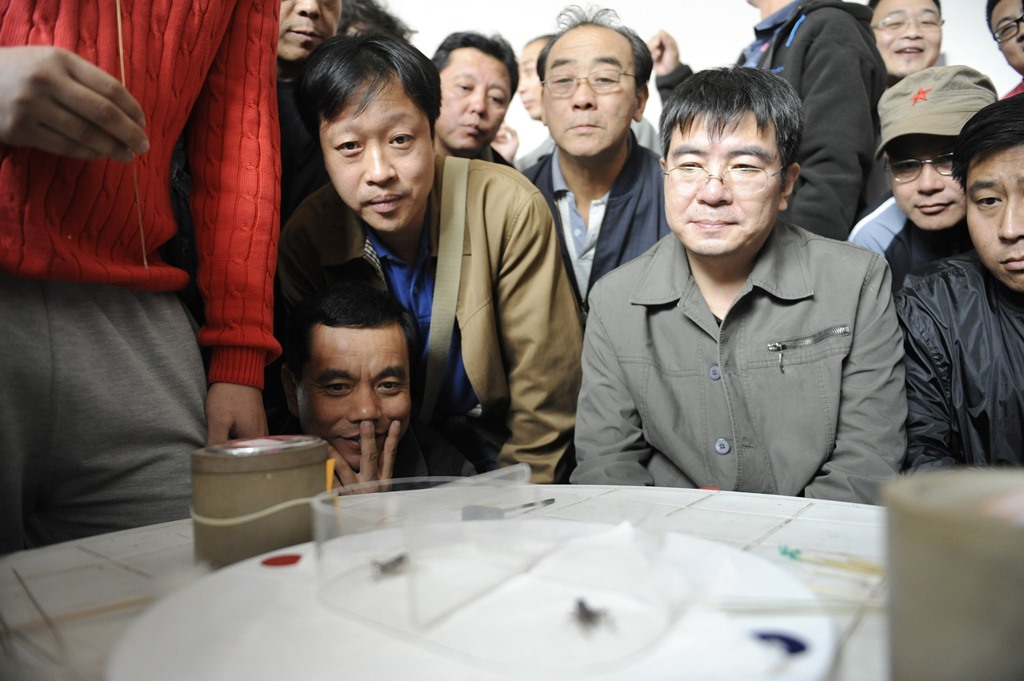 Enthusiasts watch a cricket fight during a competition in Beijing. Credit: Liu Jin/AFP Enthusiasts watch a cricket fight during a competition in Beijing. Credit: Liu Jin/AFP