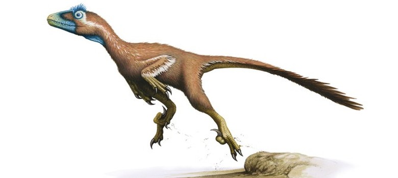 Six amazing dinosaur discoveries that changed the world