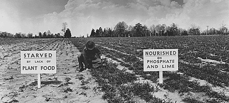 How the great phosphorus shortage could leave us short of food