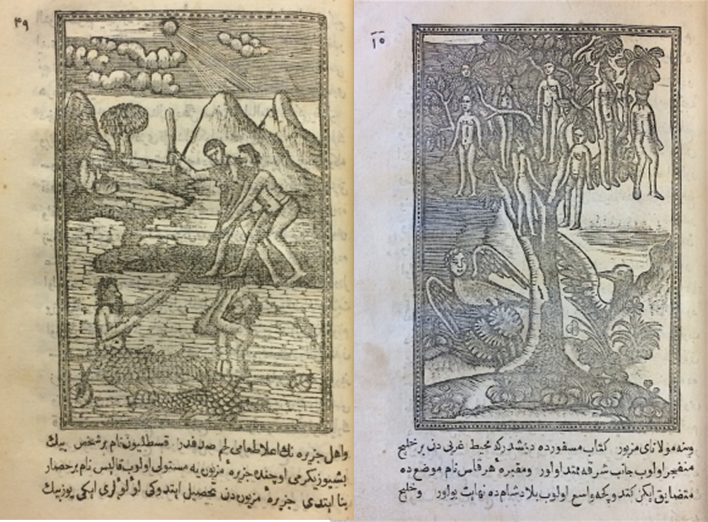 On the left (BL Or.80.b.7), flora and fauna of Hispaniola, including the mermen and their splendid pearls, brought back to Europe by a man named Castellón, as well as the tree with fruit like women (BL Or.80.b.11) On the left (BL Or.80.b.7), flora and fauna of Hispaniola, including the mermen and their splendid pearls, brought back to Europe by a man named Castellón, as well as the tree with fruit like women (BL Or.80.b.11)