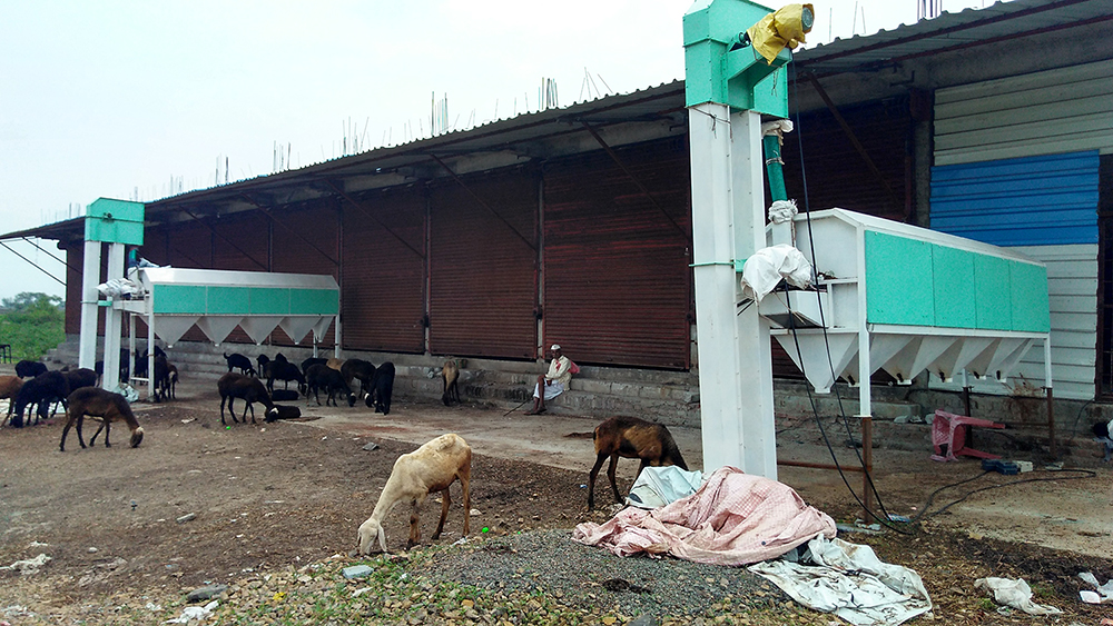 Many farmers registered with NAFED are yet to sell their tur at the Lohara procurement centre, which has been closed due to rain since the start of June. Photo credit: Manas Roshan Many farmers registered with NAFED are yet to sell their tur at the Lohara procurement centre, which has been closed due to rain since the start of June. Photo credit: Manas Roshan