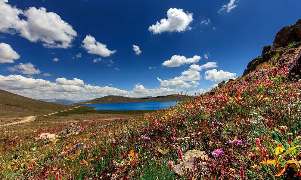 The beauty of Sheosar Lake. The beauty of Sheosar Lake.