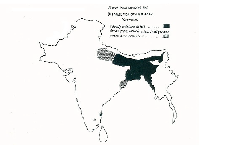 Distribution of kala azar in 1903. The endemic areas remain the same today. Distribution of kala azar in 1903. The endemic areas remain the same today.
