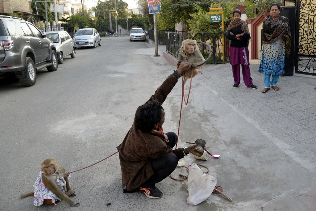 Credit: Shammi Mehra/AFP Credit: Shammi Mehra/AFP