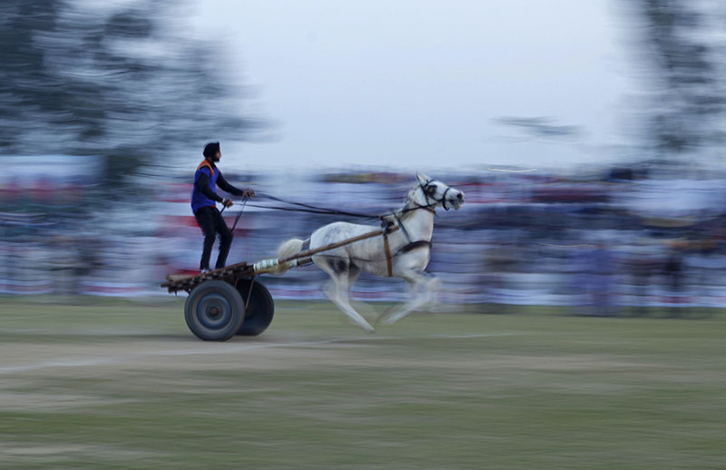 A competitor in the horse cart race. A competitor in the horse cart race.