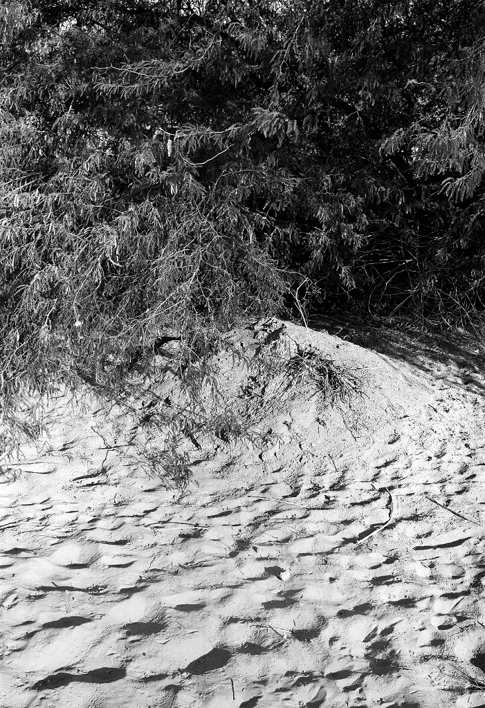 Untitled (17), from the series, Traces, 1999 - ongoing. Image courtesy Gauri Gill. Untitled (17), from the series, Traces, 1999 - ongoing. Image courtesy Gauri Gill.
