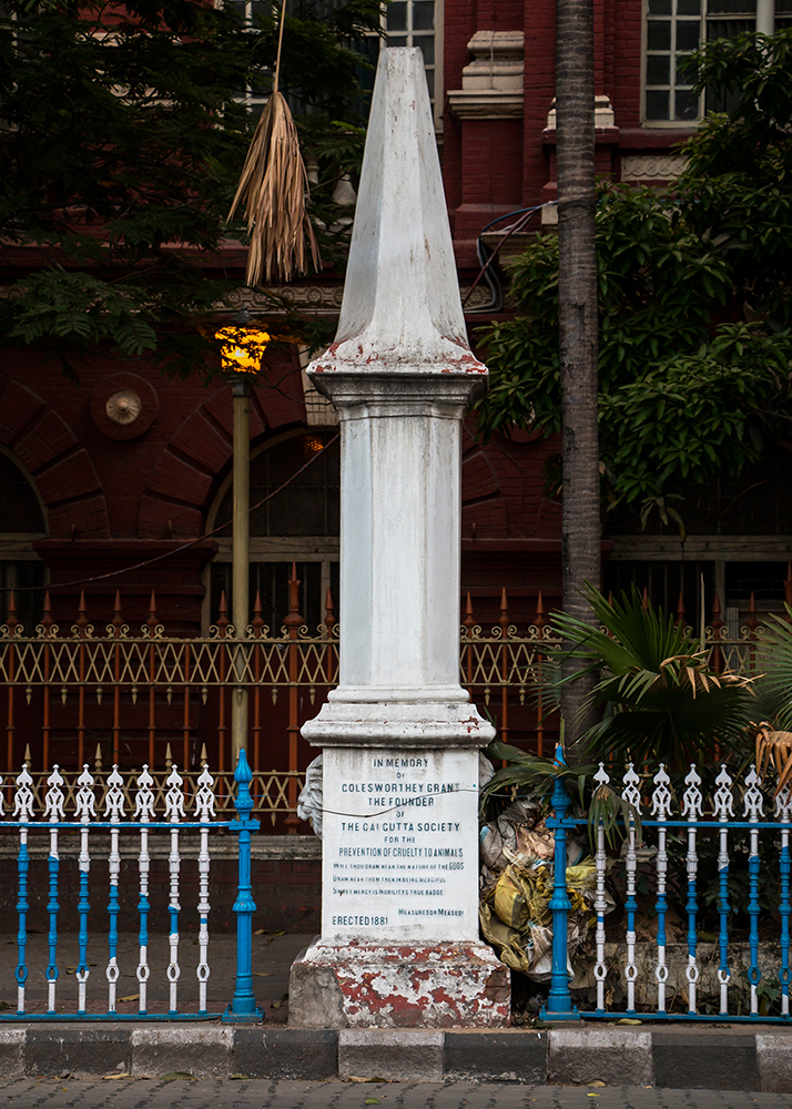 Photo credit: Deepanjan Ghosh Photo credit: Deepanjan Ghosh