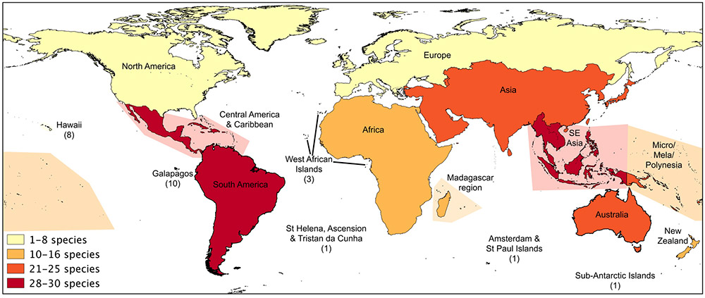 Regional concentrations of threatened species negatively impacted by domestic dogs. Author provided Regional concentrations of threatened species negatively impacted by domestic dogs. Author provided