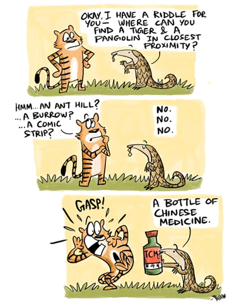 Tigers and Pangolins. Image credit: By Rohan Chakravarty/Green Humour Tigers and Pangolins. Image credit: By Rohan Chakravarty/Green Humour