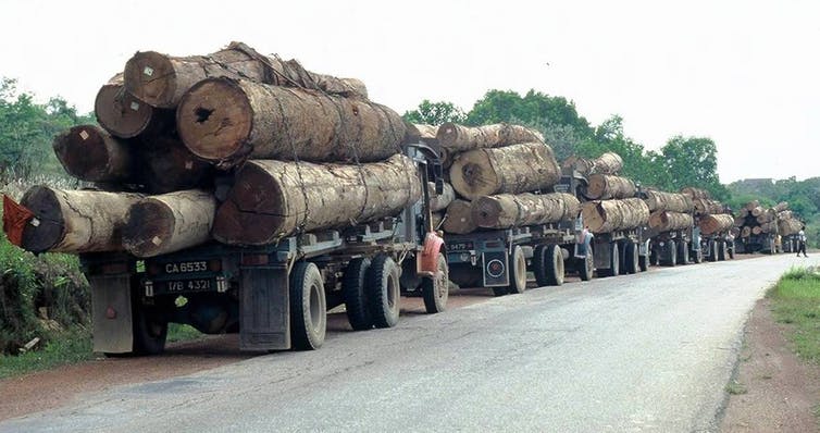 A queue of logging trucks in Southeast Asia. (Credit: Jeff Vincent) A queue of logging trucks in Southeast Asia. (Credit: Jeff Vincent)