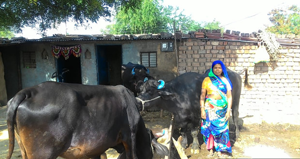Anita, from Chhatripura village, in the predominantly Adivasi Dhar district, has a Jan Dhan account, and was given an ATM card. But, she never went back to the bank or deposited any money in her account since she opened the account about a year ago because “no one taught me how to use anything (bank account and ATM card)”. Image Credits: Shreya Shah/Indiaspend Anita, from Chhatripura village, in the predominantly Adivasi Dhar district, has a Jan Dhan account, and was given an ATM card. But, she never went back to the bank or deposited any money in her account since she opened the account about a year ago because “no one taught me how to use anything (bank account and ATM card)”. Image Credits: Shreya Shah/Indiaspend