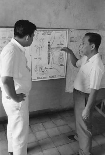 Between 1969 and 1983, Zika virus was detected in mosquitoes found in equatorial Asia, including India, Indonesia, Malaysia and Pakistan. (Image: WHO) Between 1969 and 1983, Zika virus was detected in mosquitoes found in equatorial Asia, including India, Indonesia, Malaysia and Pakistan. (Image: WHO)