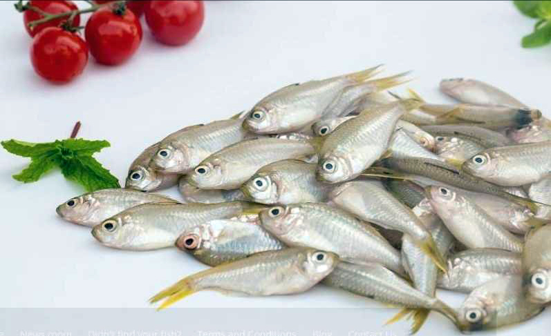 Photo credit: Freshtohome Photo credit: Freshtohome