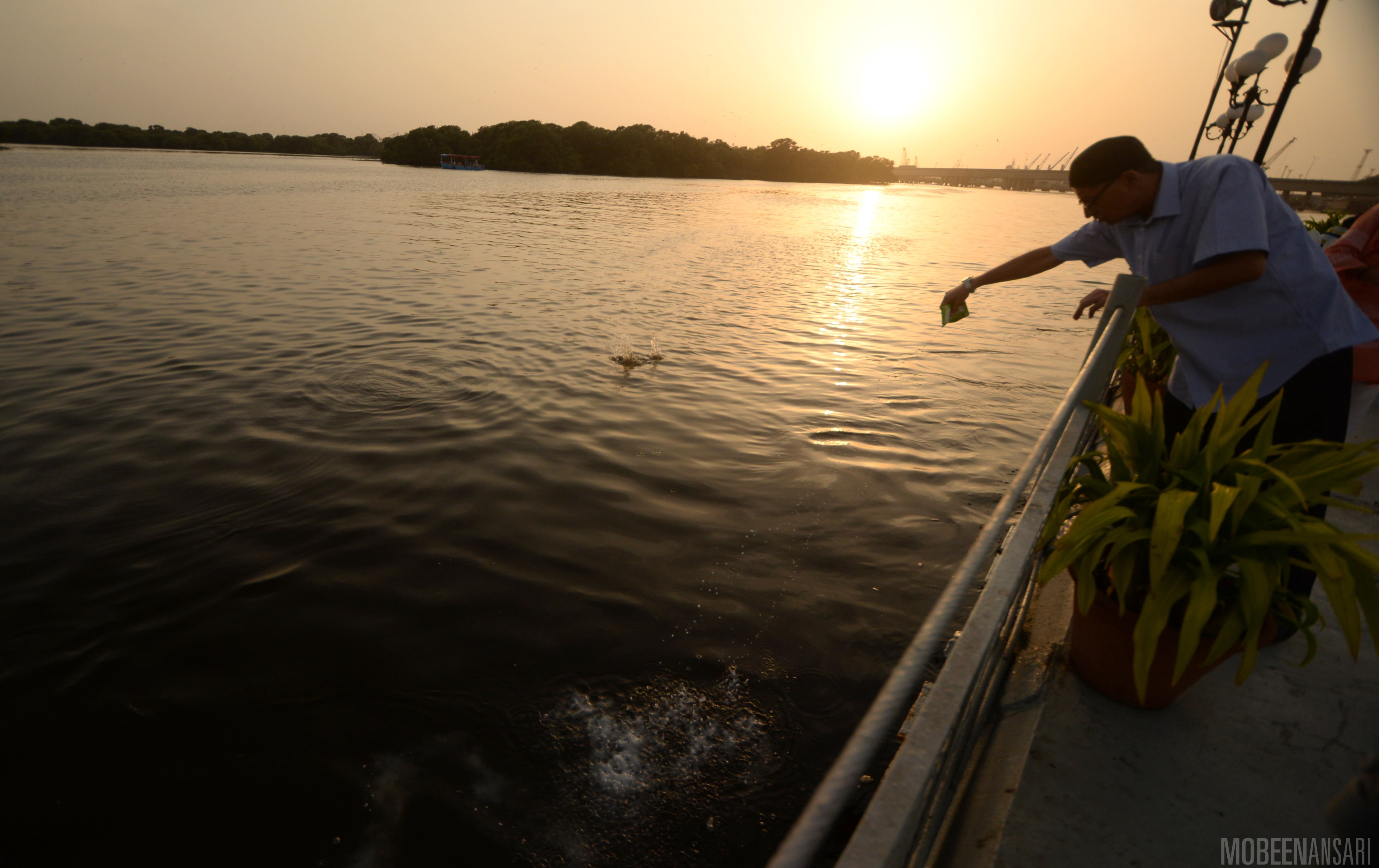Farokh Variawa, a Parsi man, throwing milk into the sea as an offering of respect on Ava Roj, a day dedicated to water. Photo credit: Mobeen Ansari. Farokh Variawa, a Parsi man, throwing milk into the sea as an offering of respect on Ava Roj, a day dedicated to water. Photo credit: Mobeen Ansari.