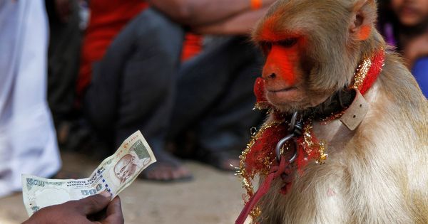 GPS-enabled rupee notes with spelling errors: Ten demonetisation rumours from the past fortnight