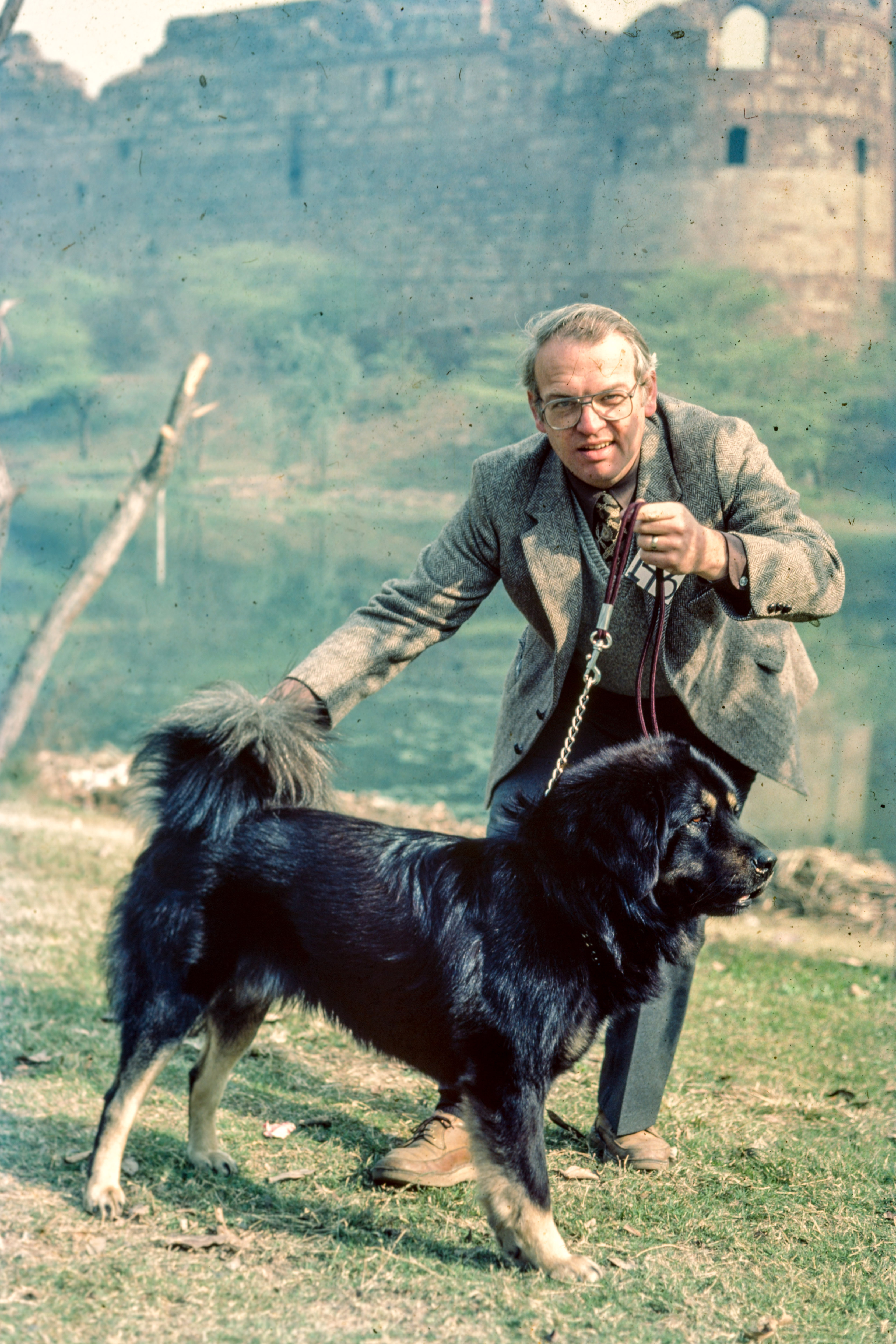 Himalayan mastiff shown by Dr Messerschmidt in Delhi Dog Show. Credit: S Theodore Baskaran Himalayan mastiff shown by Dr Messerschmidt in Delhi Dog Show. Credit: S Theodore Baskaran