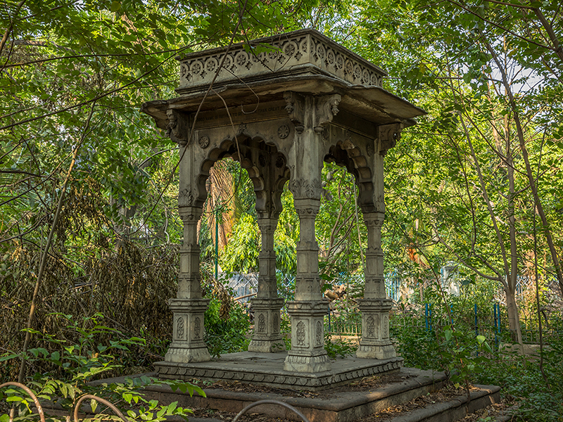 Photo credit: Deepanjan Ghosh Photo credit: Deepanjan Ghosh