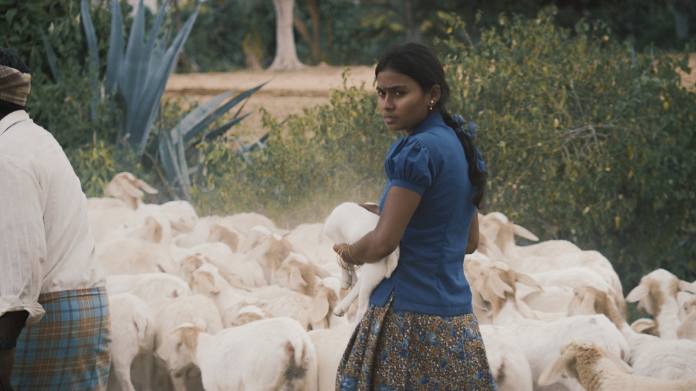 A still from 'Thithi', set in Karnataka's Mandya district. A still from 'Thithi', set in Karnataka's Mandya district.