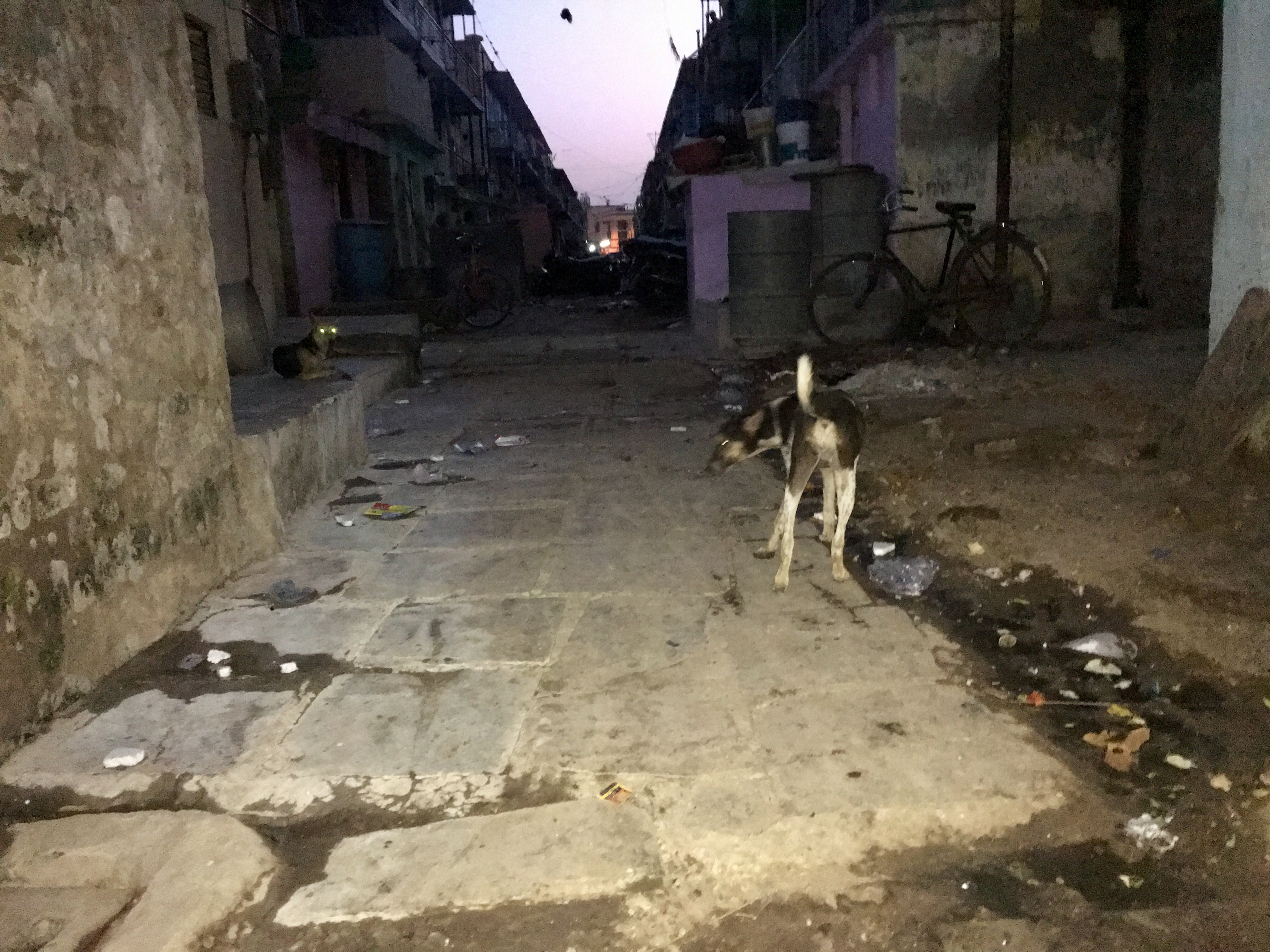 Alleys in Bapunagar area are stinking with garbage. Poor sanitation encourages mosquitoes to breed. (Photo: Priyanka Vora) Alleys in Bapunagar area are stinking with garbage. Poor sanitation encourages mosquitoes to breed. (Photo: Priyanka Vora)