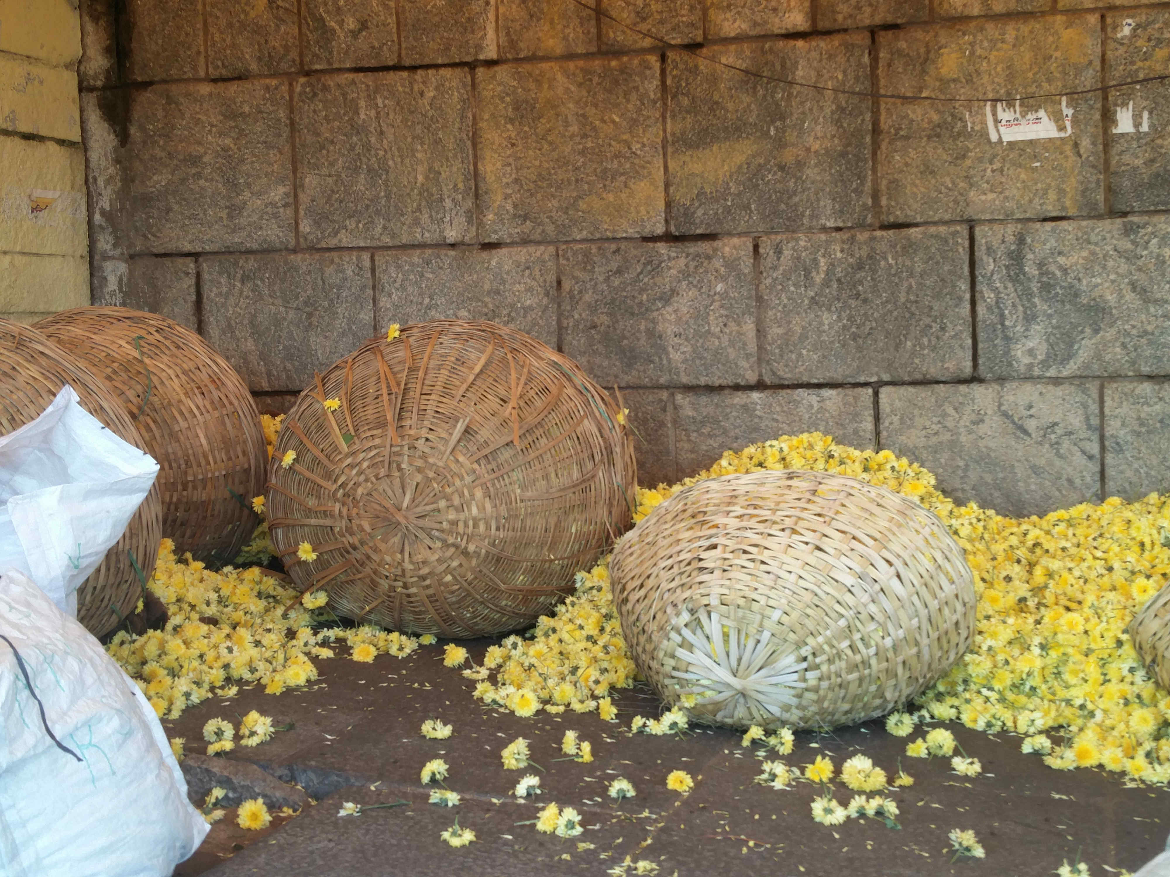 Tonnes of flowers going to waste. Tonnes of flowers going to waste.