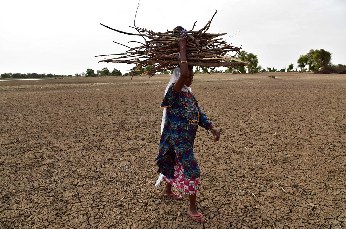 Back-to-back droughts in 2014 and 2015 severely impacted the agricultural sector. (Credit: AFP) Back-to-back droughts in 2014 and 2015 severely impacted the agricultural sector. (Credit: AFP)