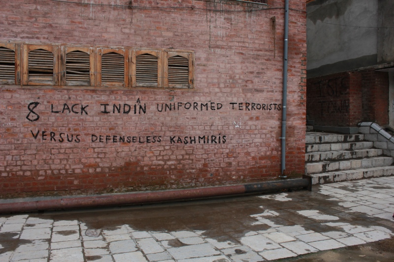 (Photo credit: Raksha Kumar). (Photo credit: Raksha Kumar).