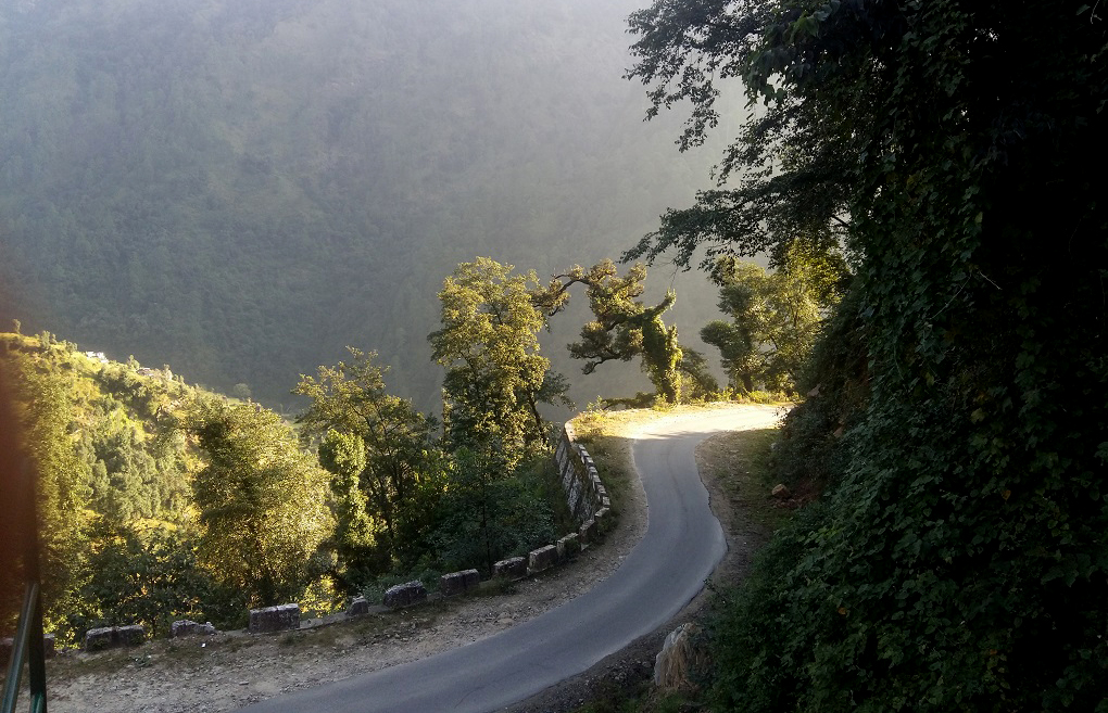 Such forested areas of Uttarakahnd will see large-scale tree felling for the Char Dham highway project. Photo credit: Hridayesh Joshi Such forested areas of Uttarakahnd will see large-scale tree felling for the Char Dham highway project. Photo credit: Hridayesh Joshi