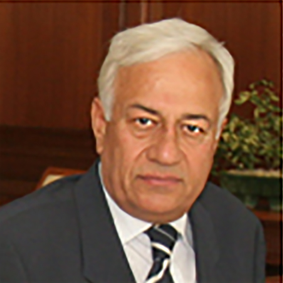 Vijay Bhatia. Photo credit: Bird Group Vijay Bhatia. Photo credit: Bird Group