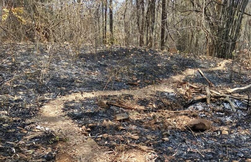The site of the attack, in Sukma district. Photo credit: IANS. The site of the attack, in Sukma district. Photo credit: IANS.