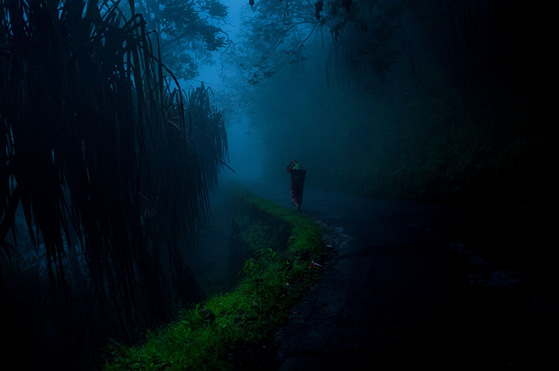 Darjeeling still subsists on its tea gardens and tourism. Darjeeling still subsists on its tea gardens and tourism.