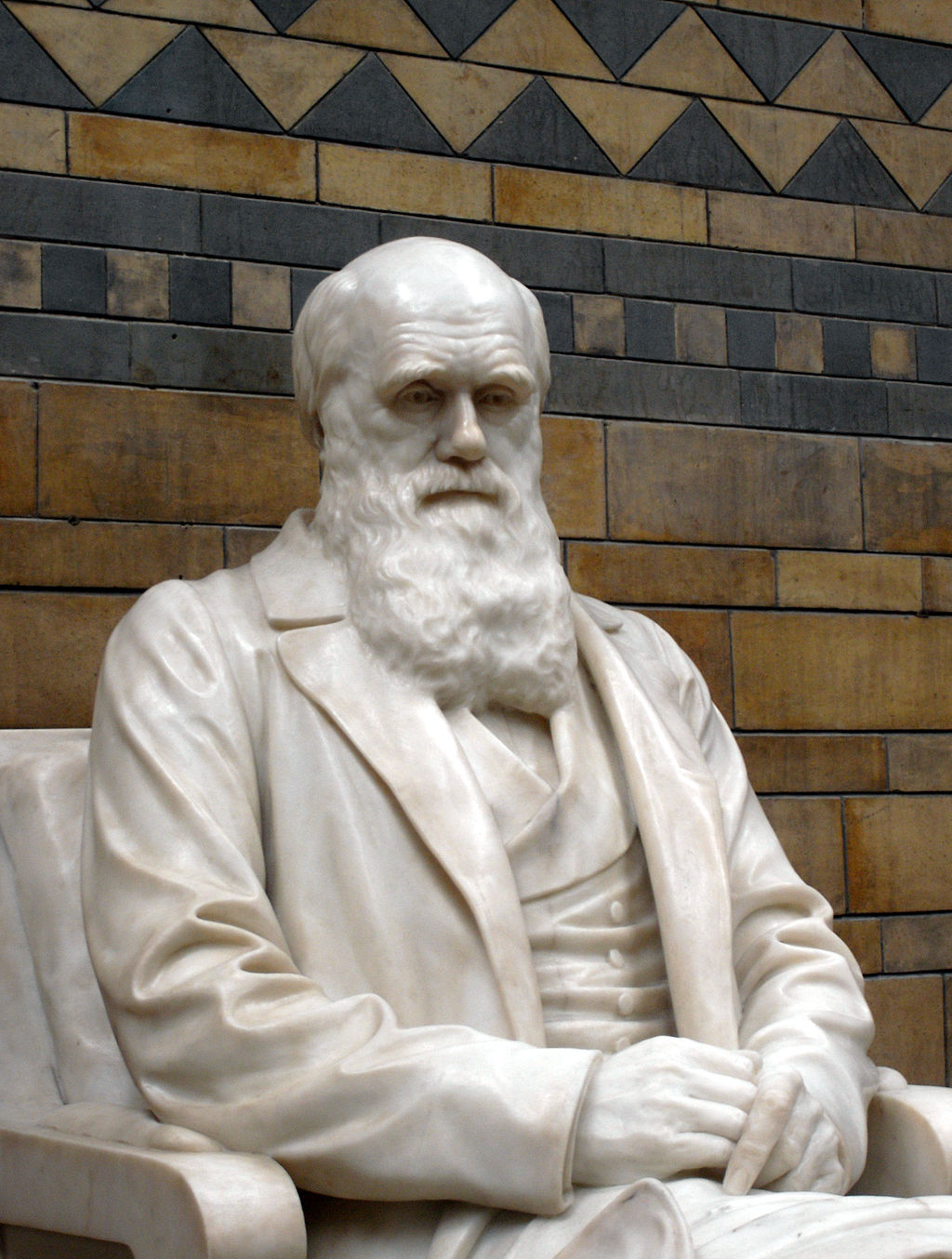 Statue of Charles Darwin at the Natural History Museum London. (Photo: Patche99z/Wikimedia Commons) Statue of Charles Darwin at the Natural History Museum London. (Photo: Patche99z/Wikimedia Commons)