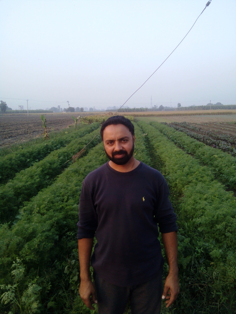 Organic farmer Baljit Kang stands near his field in Dhahan village on November 8. Organic farmer Baljit Kang stands near his field in Dhahan village on November 8.