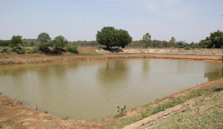 Tamil Nadu depends on traditional water harvesting structures such as eris or man-made water tanks for its irrigation and drinking water needs and for drought and flood mitigation. (Credit: via India Water Portal) Tamil Nadu depends on traditional water harvesting structures such as eris or man-made water tanks for its irrigation and drinking water needs and for drought and flood mitigation. (Credit: via India Water Portal)