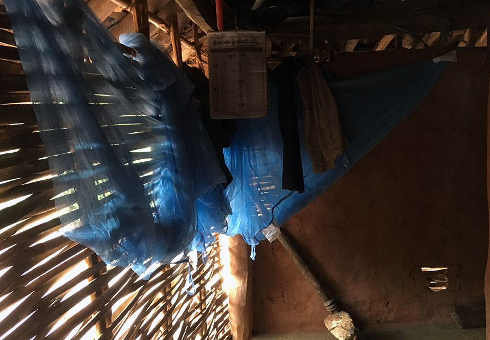Villagers were given mosquito nets after the deaths. Villagers were given mosquito nets after the deaths.