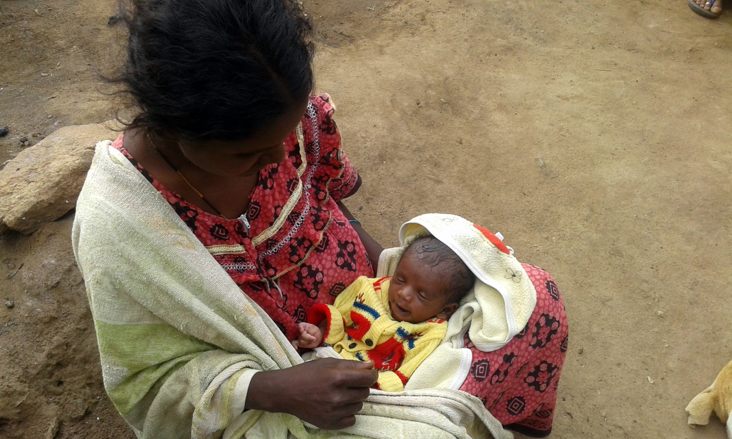 Kala and her newborn. Kala and her newborn.