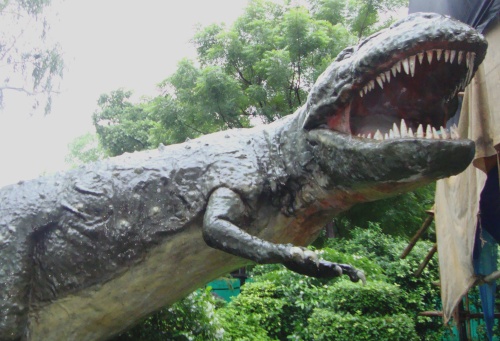 The model of an Allosaurus at the National Museum of Natural History. The model of an Allosaurus at the National Museum of Natural History.