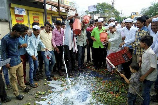 Farmers dump milk and vegetables in Parbhani, Maharashtra. (Credit: PTI) Farmers dump milk and vegetables in Parbhani, Maharashtra. (Credit: PTI)