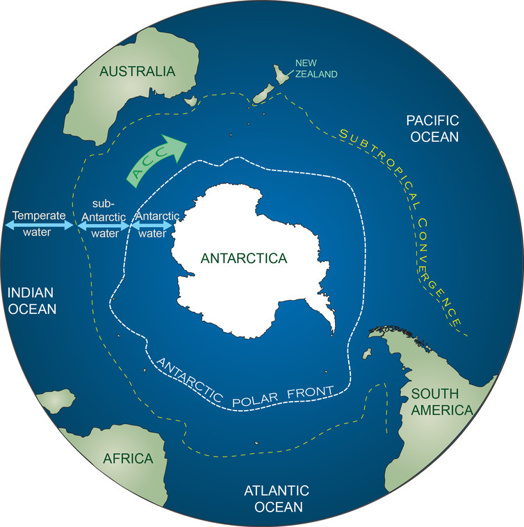 Approximate positions of the Antarctic polar front and the subtropical convergence, which are the northern bounds of Antarctic and sub-Antarctic water, respectively. Source: Ceridwen Fraser, Author provided. Approximate positions of the Antarctic polar front and the subtropical convergence, which are the northern bounds of Antarctic and sub-Antarctic water, respectively. Source: Ceridwen Fraser, Author provided.