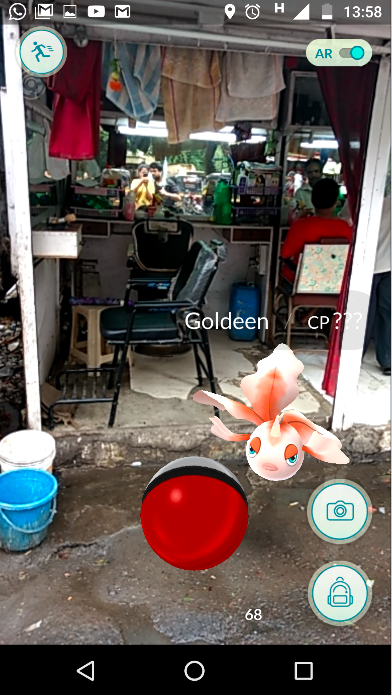 Goldeen was in queue for a trim. Goldeen was in queue for a trim.