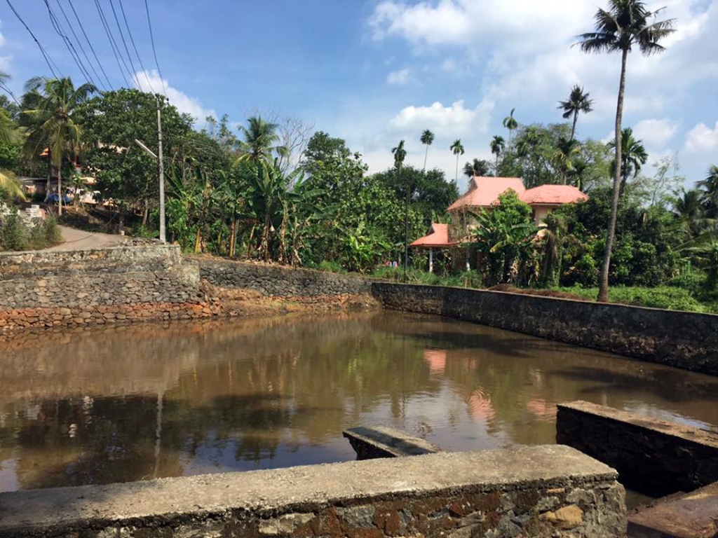 A pond in Ernakulam cleaned by Anpodu Kochi. Image credit: Facebook A pond in Ernakulam cleaned by Anpodu Kochi. Image credit: Facebook