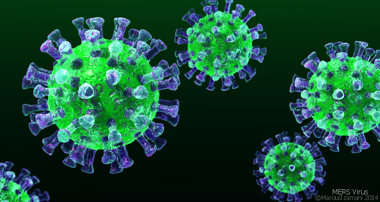 3D image of the Middle East respiratory syndrome or MERS virus (Image: Wikimedia Commons) 3D image of the Middle East respiratory syndrome or MERS virus (Image: Wikimedia Commons)