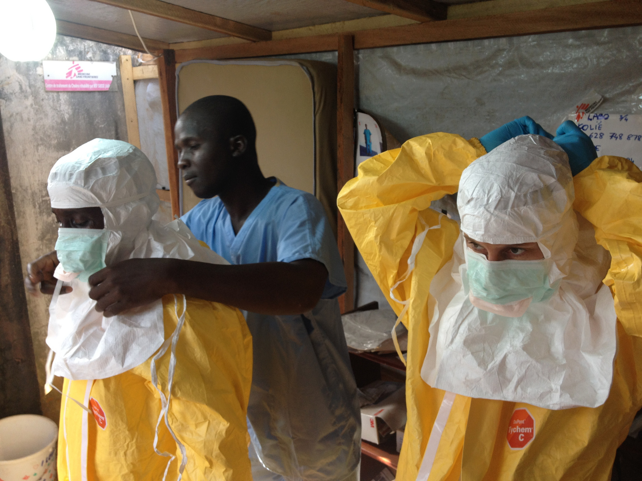 Bats may carry the Ebola virus without symptoms, and scientists suspect them to be the source of the epidemic. (Image: European Commission DG ECHO/Global Panorama/Flickr) Bats may carry the Ebola virus without symptoms, and scientists suspect them to be the source of the epidemic. (Image: European Commission DG ECHO/Global Panorama/Flickr)