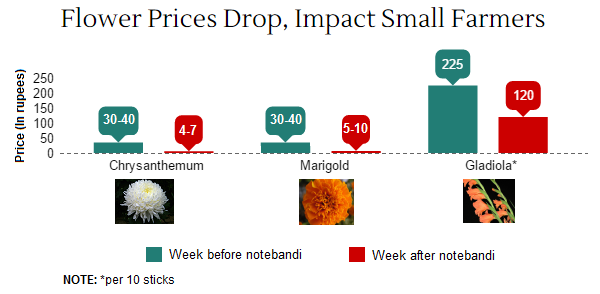Note: Prices based on farmer estimates in Indore mandi, December 5 and December 11, 2016. Note: Prices based on farmer estimates in Indore mandi, December 5 and December 11, 2016.