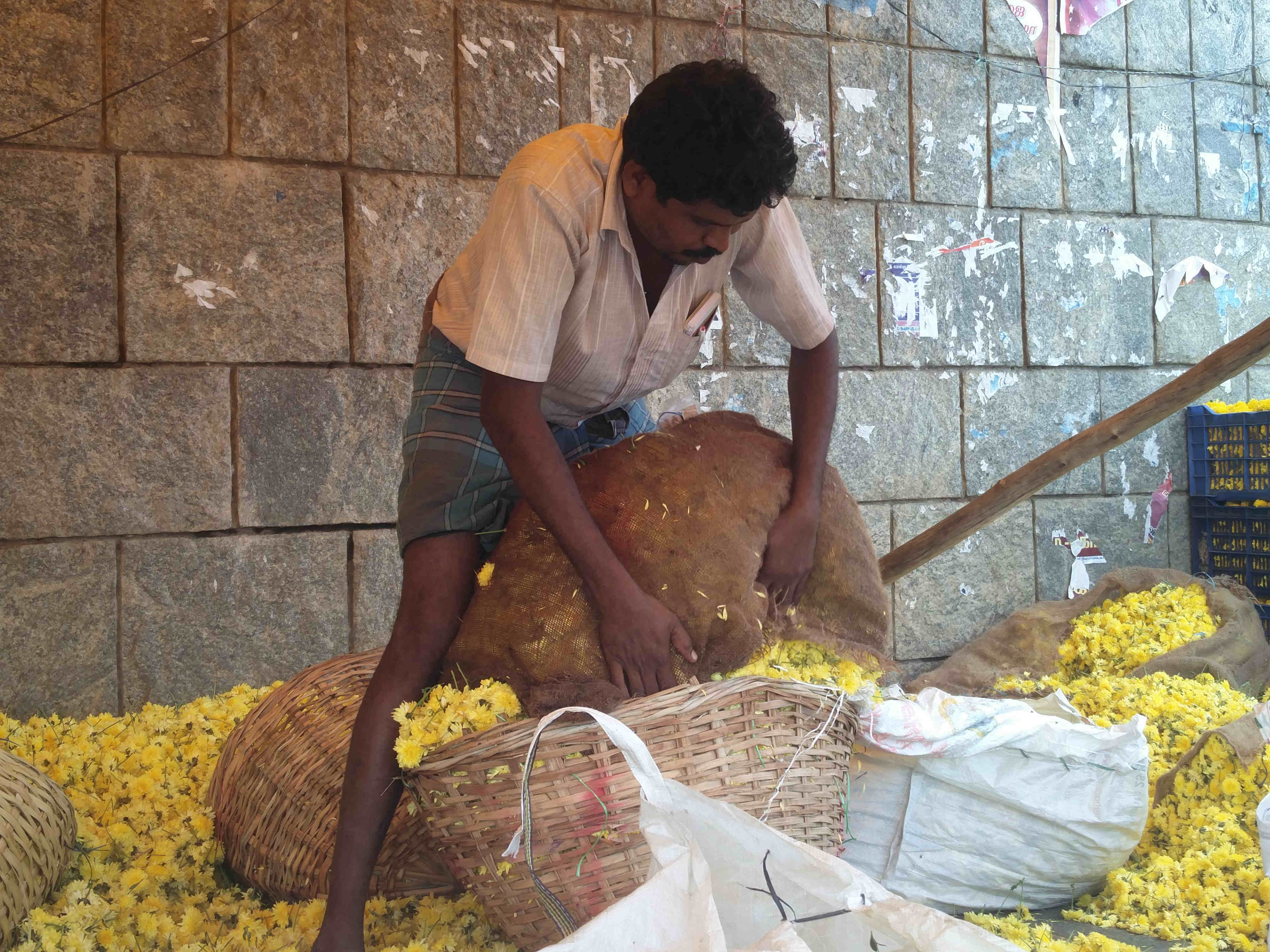 Dasarathan's unsold flowers. Dasarathan's unsold flowers.