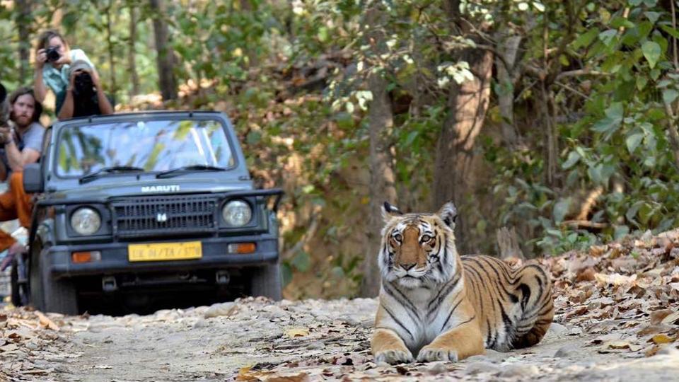 The ecosystem services it provides makes the Corbett Tiger Reserve in Uttarakhand worth Rs 14.7 billion annually, according to a study. Photo credit: HT The ecosystem services it provides makes the Corbett Tiger Reserve in Uttarakhand worth Rs 14.7 billion annually, according to a study. Photo credit: HT