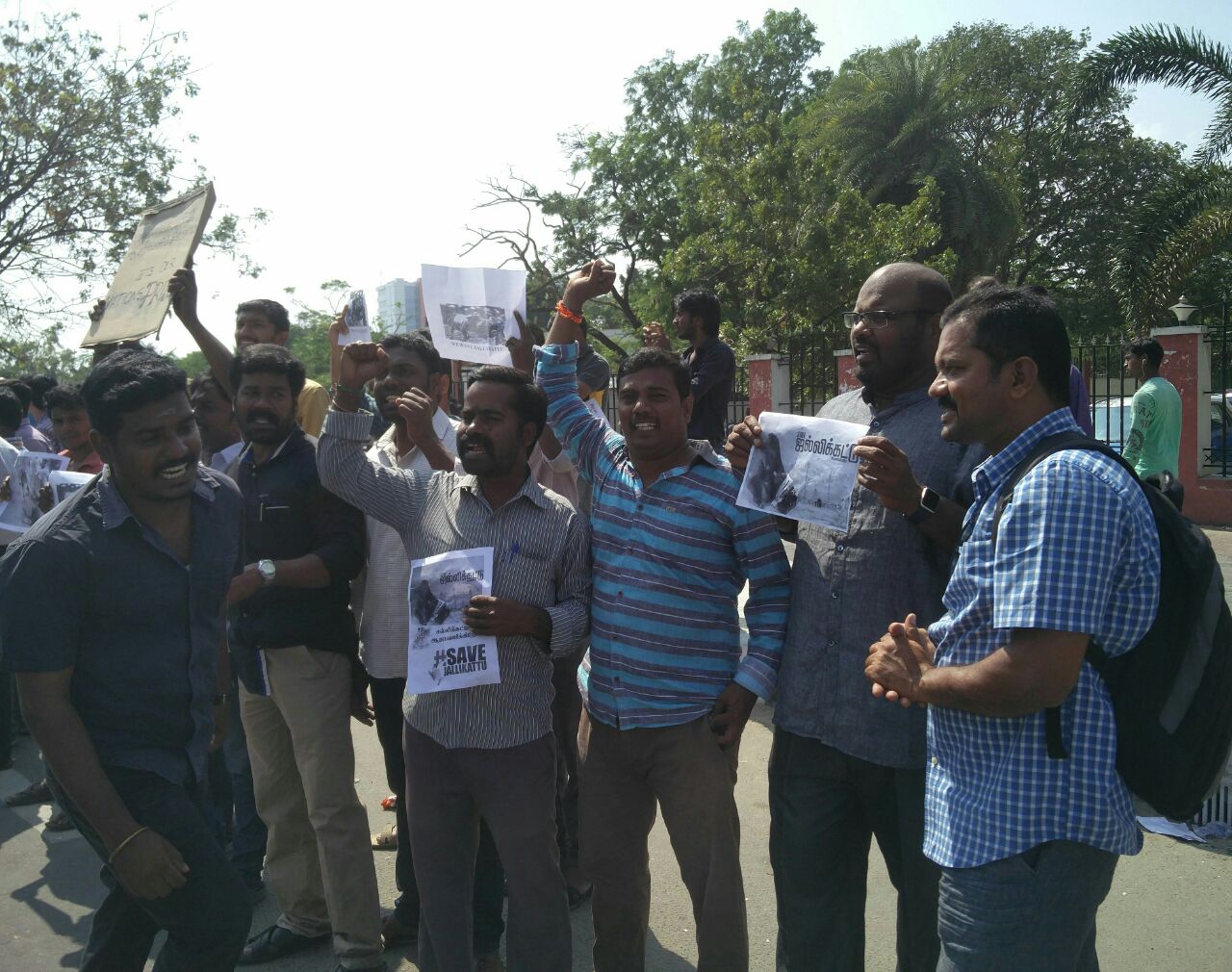 Jallikattu supporters outside Tidel Park. (Photo credit: Vinita Govindarajan). Jallikattu supporters outside Tidel Park. (Photo credit: Vinita Govindarajan).
