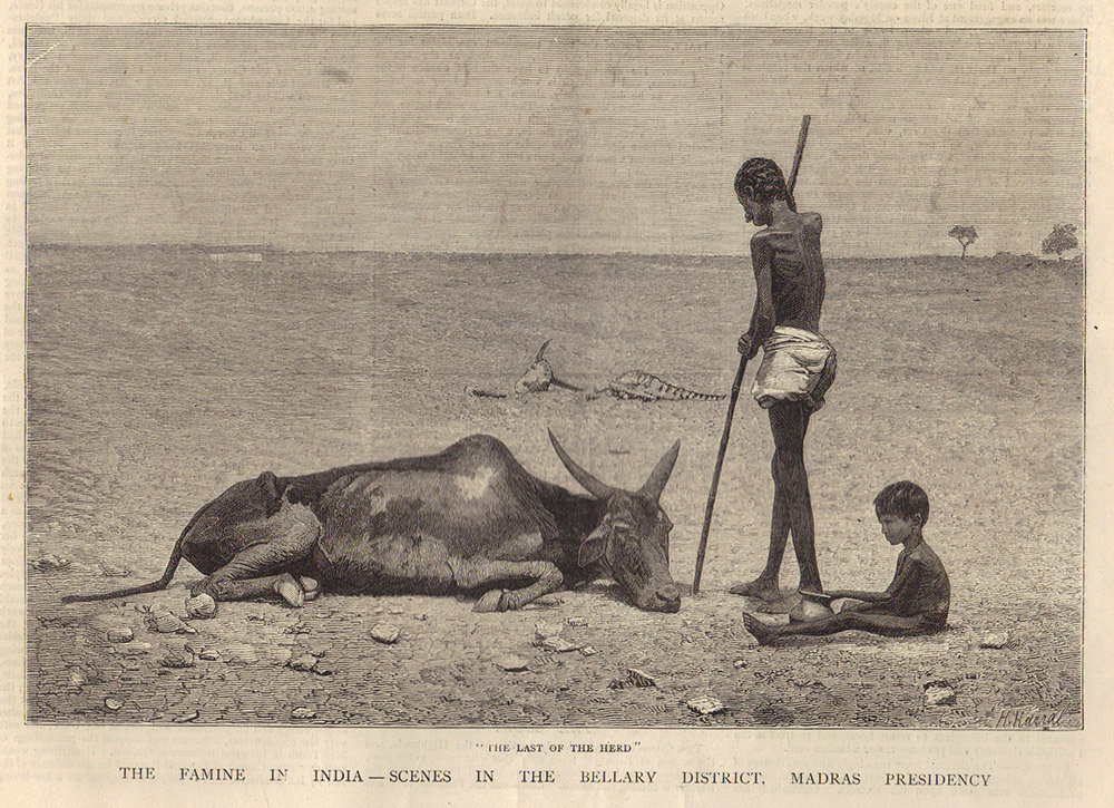 An engraving from 'The Graphic', October 1877. Image credit: Wikimedia Commons. An engraving from 'The Graphic', October 1877. Image credit: Wikimedia Commons.