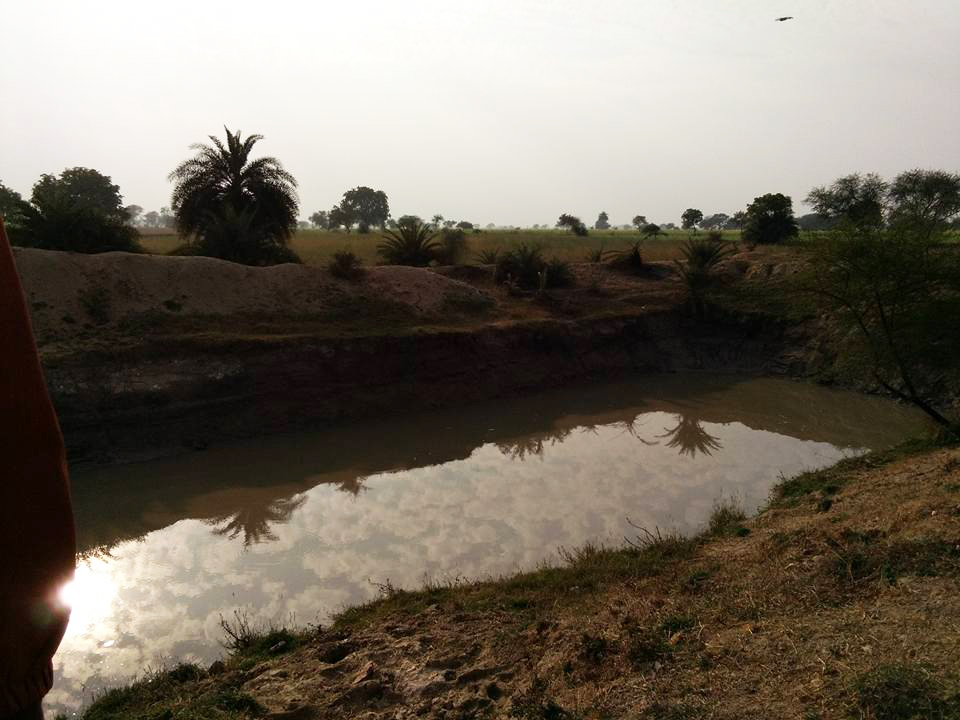 A farm pond in Uttar Pradesh's Banda district. (Photo credit: Raksha Kumar). A farm pond in Uttar Pradesh's Banda district. (Photo credit: Raksha Kumar).